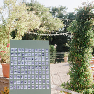polaroid wedding seating chart with provence wedding background